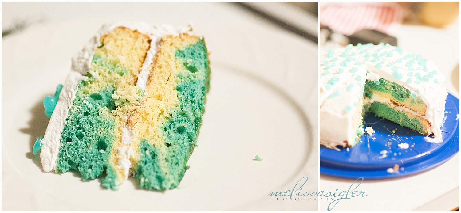 breaking-bad-finale-blue-sky-cake-recipe-melissa-sigler-photography-010_blog