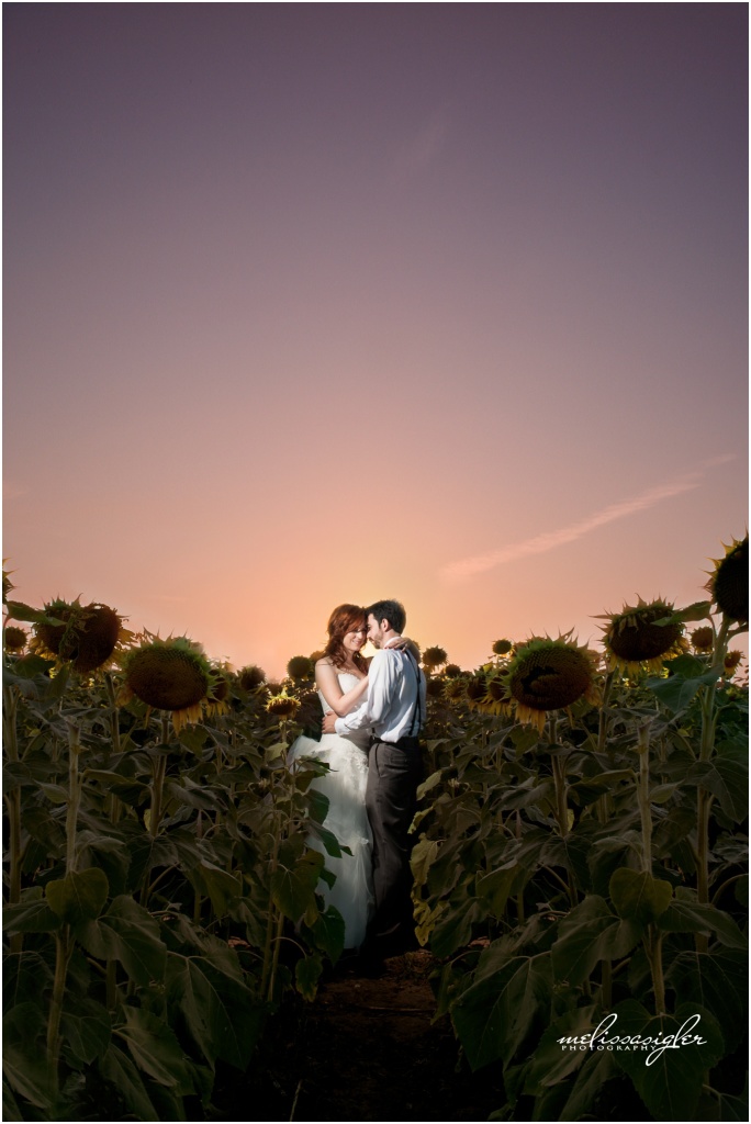 Bride and groom in a sunflower field by Melissa Sigler Photography