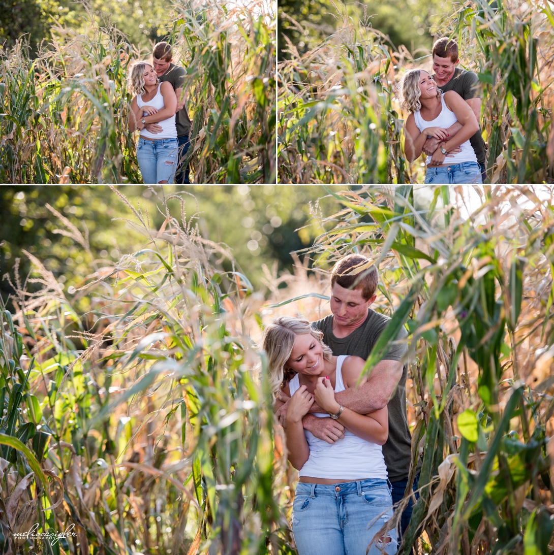 engagement pictures in a corn field
