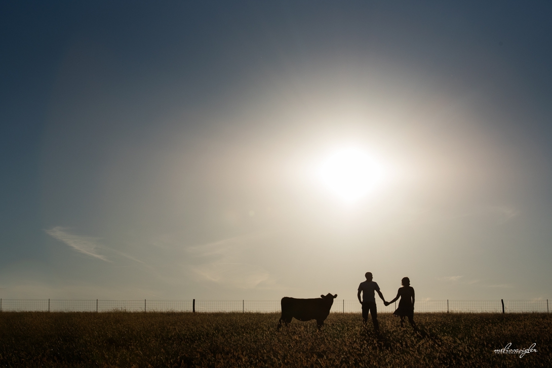 silhouette engagement pictures in the country