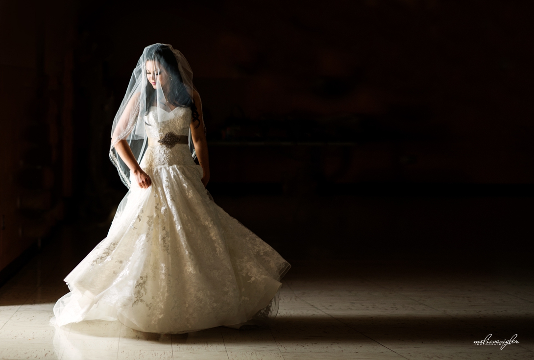 Bride twirling her wedding gown