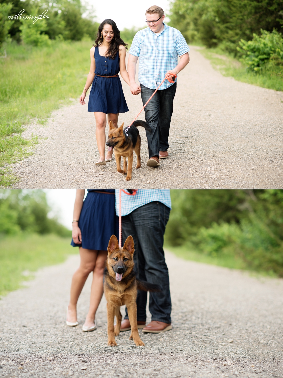 Engagement photos with pets