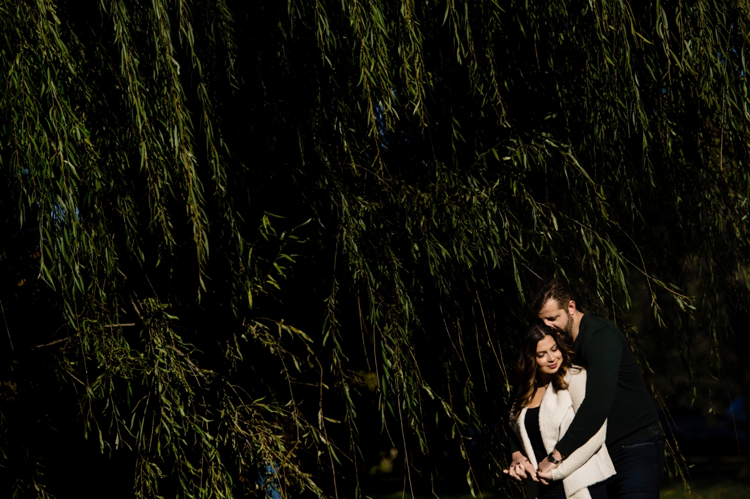engagement photo under weeping willow tree
